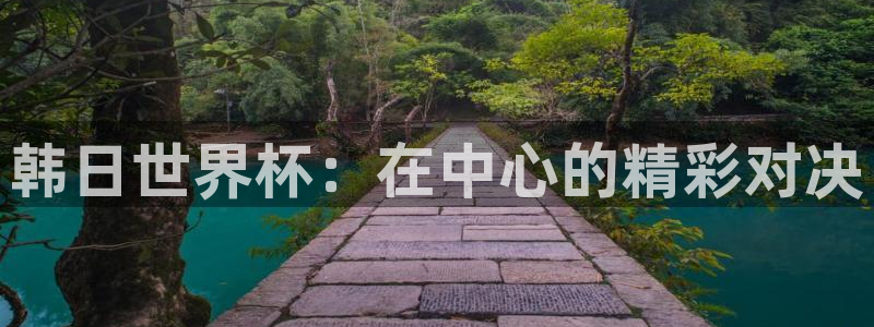 世界杯2026预选赛：韩日世界杯：在中心的精彩对决