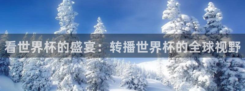 世界杯足球赛2026：看世界杯的盛宴：转播世界杯的全球视野