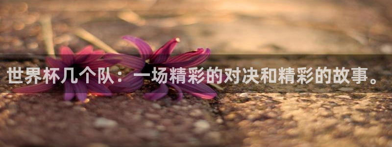 世界杯预选赛亚洲区赛程：世界杯几个队：一场精彩的对决和精彩的故事。