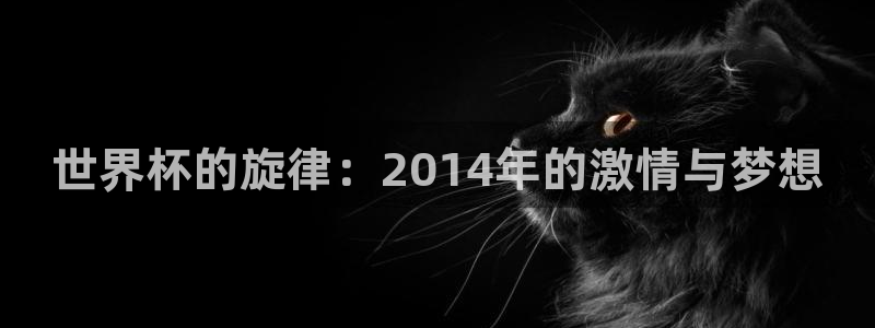 世界杯预选赛赛程时间表：世界杯的旋律：2014年的激情与梦想