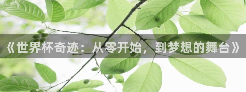 世界杯小组赛赛程：《世界杯奇迹：从零开始，到梦想的舞台》