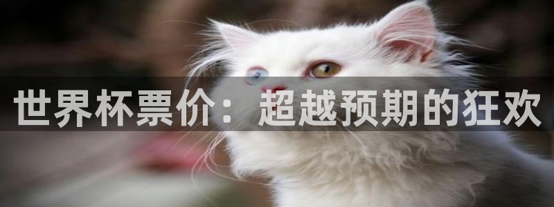 2026世界杯：世界杯票价：超越预期的狂欢