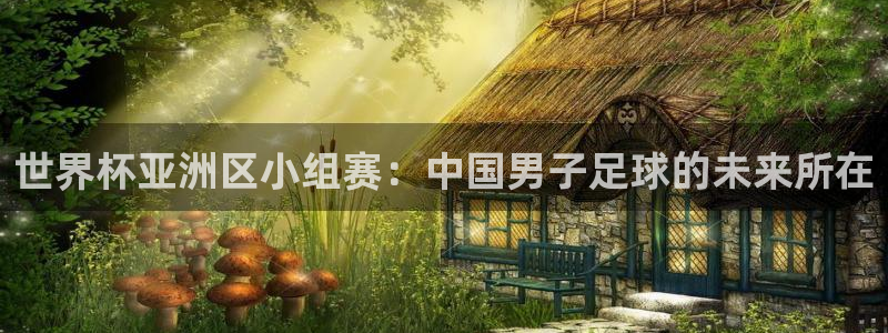 欧联杯直播：世界杯亚洲区小组赛：中国男子足球的未来所在
