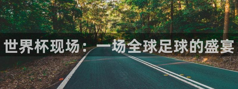 法国杯2026赛程表：世界杯现场：一场全球足球的盛宴