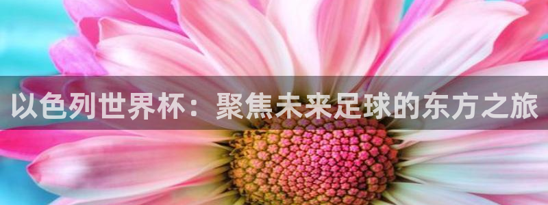 世界杯视频：以色列世界杯：聚焦未来足球的东方之旅