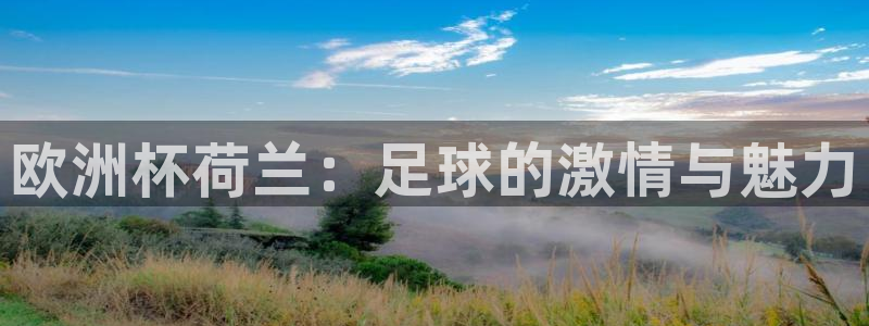世界杯预选赛排名：欧洲杯荷兰：足球的激情与魅力