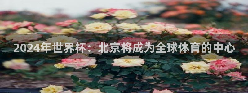 2026男足世界杯：2024年世界杯：北京将成为全球体育的中心