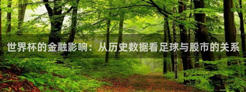 世界杯预选赛亚洲：世界杯的金融影响：从历史数据看足球与股市的关系