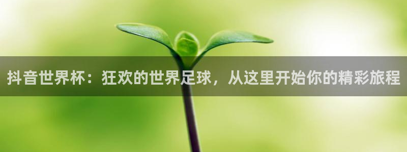 世界杯48支球队赛制：抖音世界杯：狂欢的世界足球，从这里开始你的精彩旅程