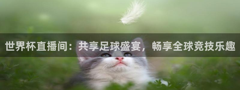 2026世界杯日期：世界杯直播间：共享足球盛宴，畅享全球竞技乐趣