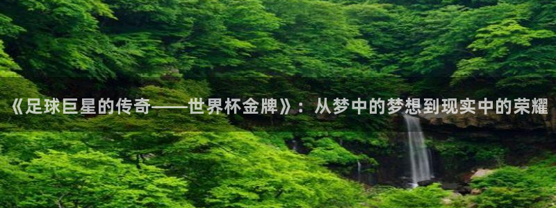 看世界杯：《足球巨星的传奇——世界杯金牌》：从梦中的梦想到现实中的荣耀