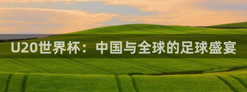 世界杯球队排名：U20世界杯：中国与全球的足球盛宴