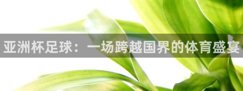 世界杯直播观看：亚洲杯足球：一场跨越国界的体育盛宴