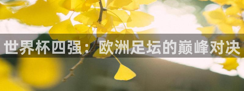 足球杯：世界杯四强：欧洲足坛的巅峰对决